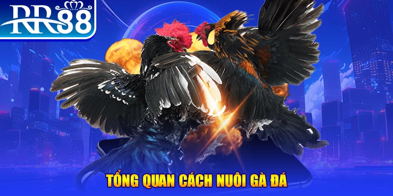 game nổ hũ rút tiền mặt là gì