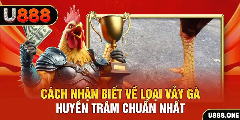 đăng nhập nổ hũ số 1
