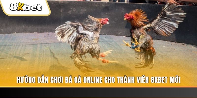 bg88 JILI Game Bài 3d