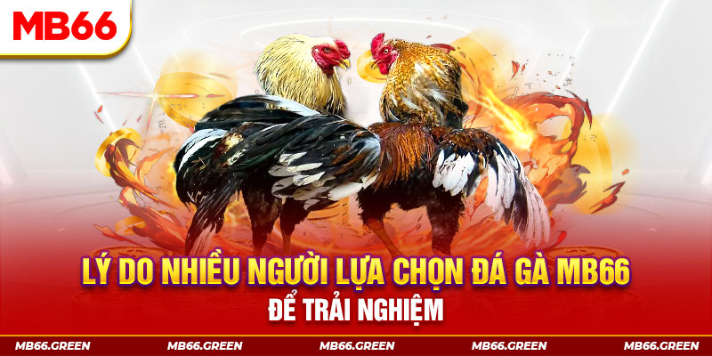 đăng nhập liêng trực tiếp